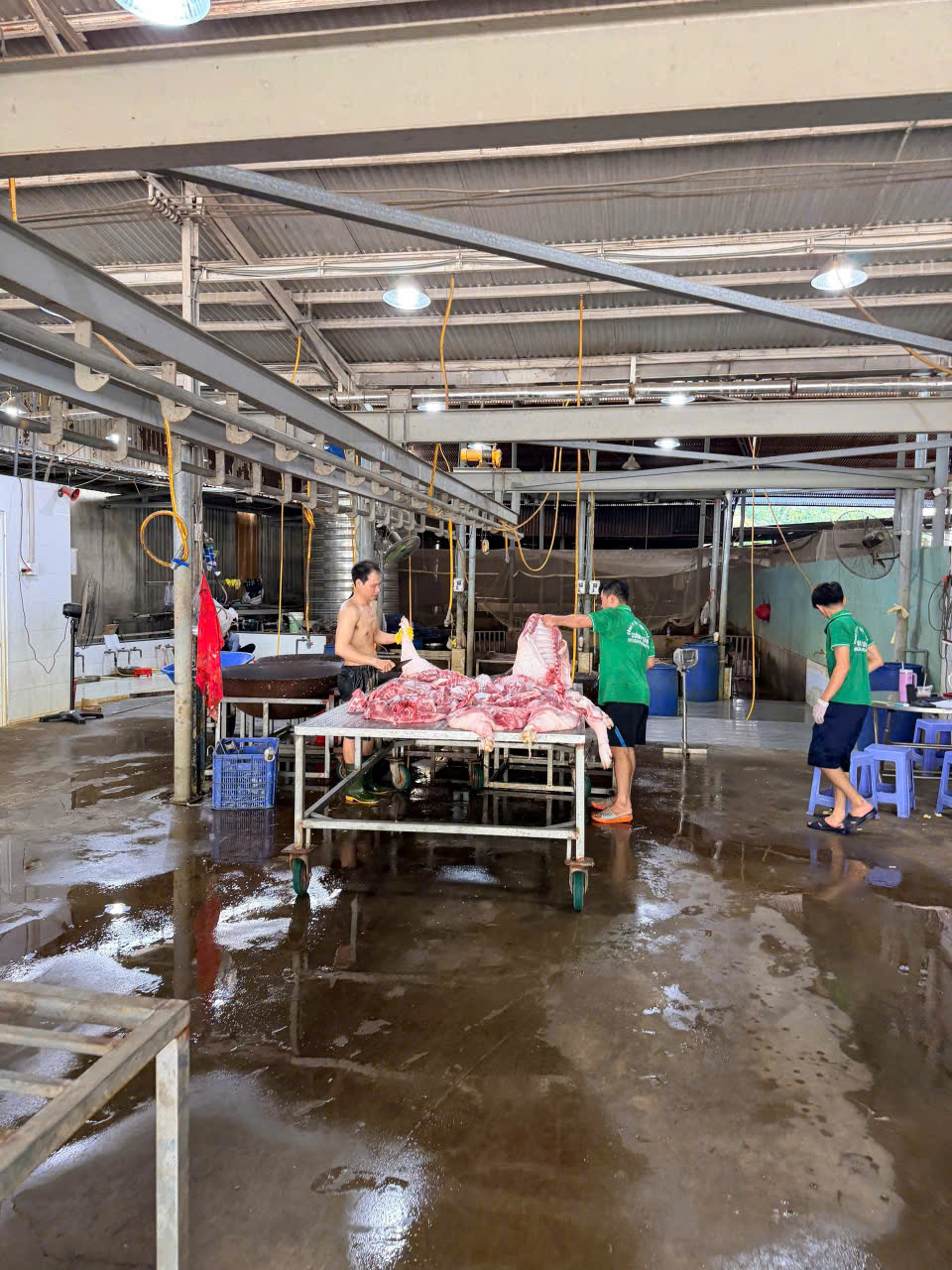 Quy trình chế biến thịt heo tươi