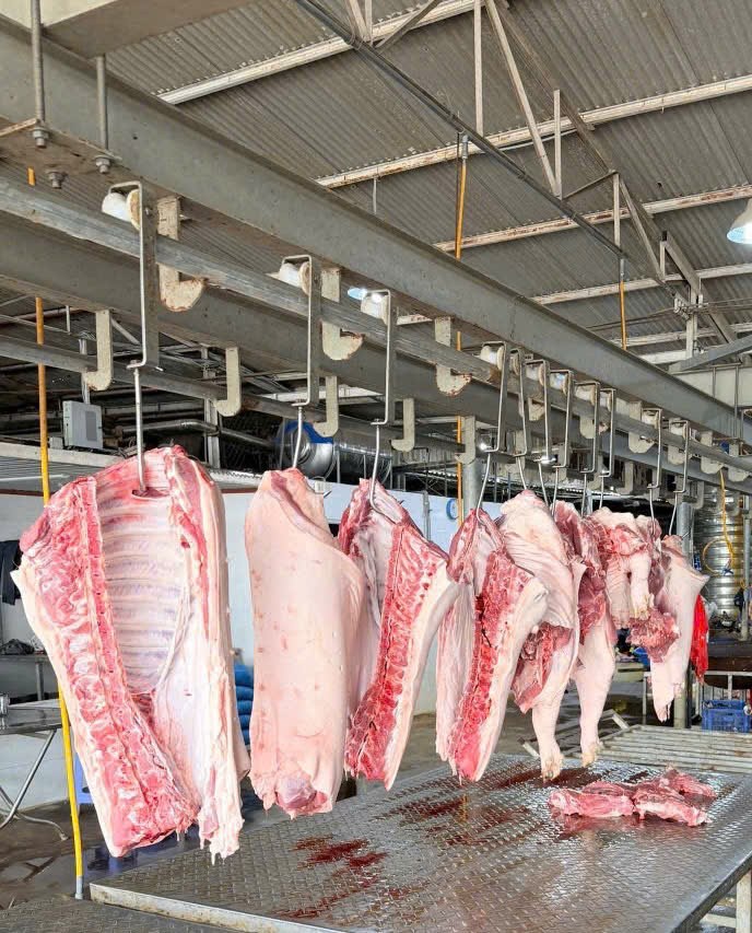Phòng cân và đóng gói sản phẩm