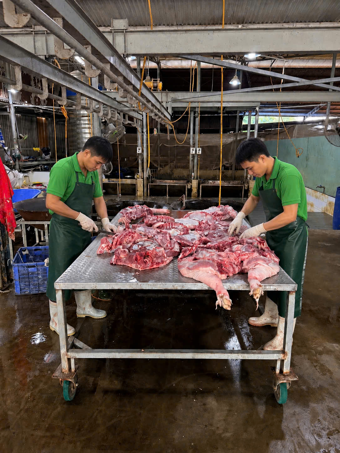 Pha Lóc — Cường Tuấn (1)