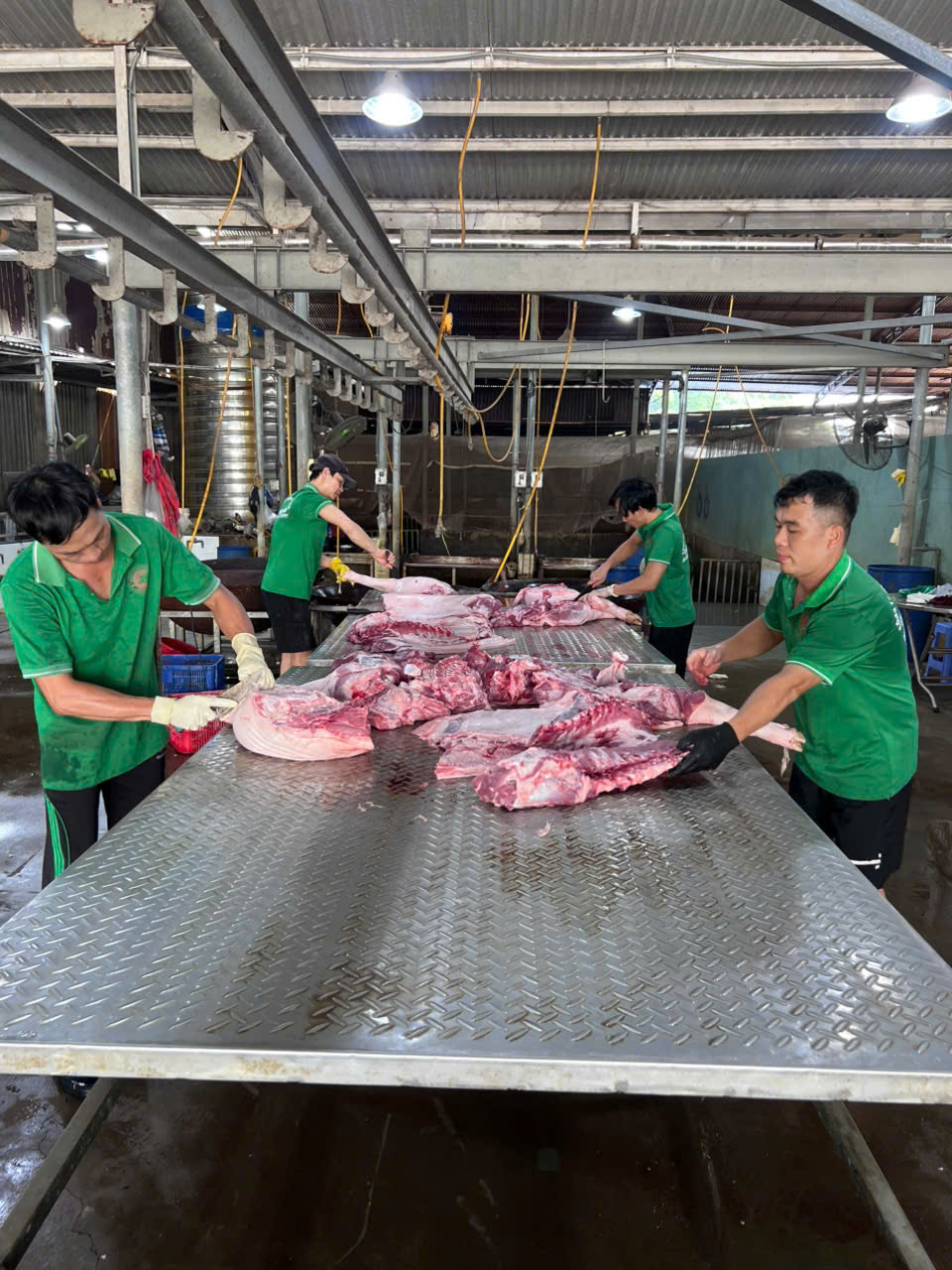Pha Lóc — Cường Tuấn (1)